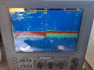 フルノの魚群探知機 画面
